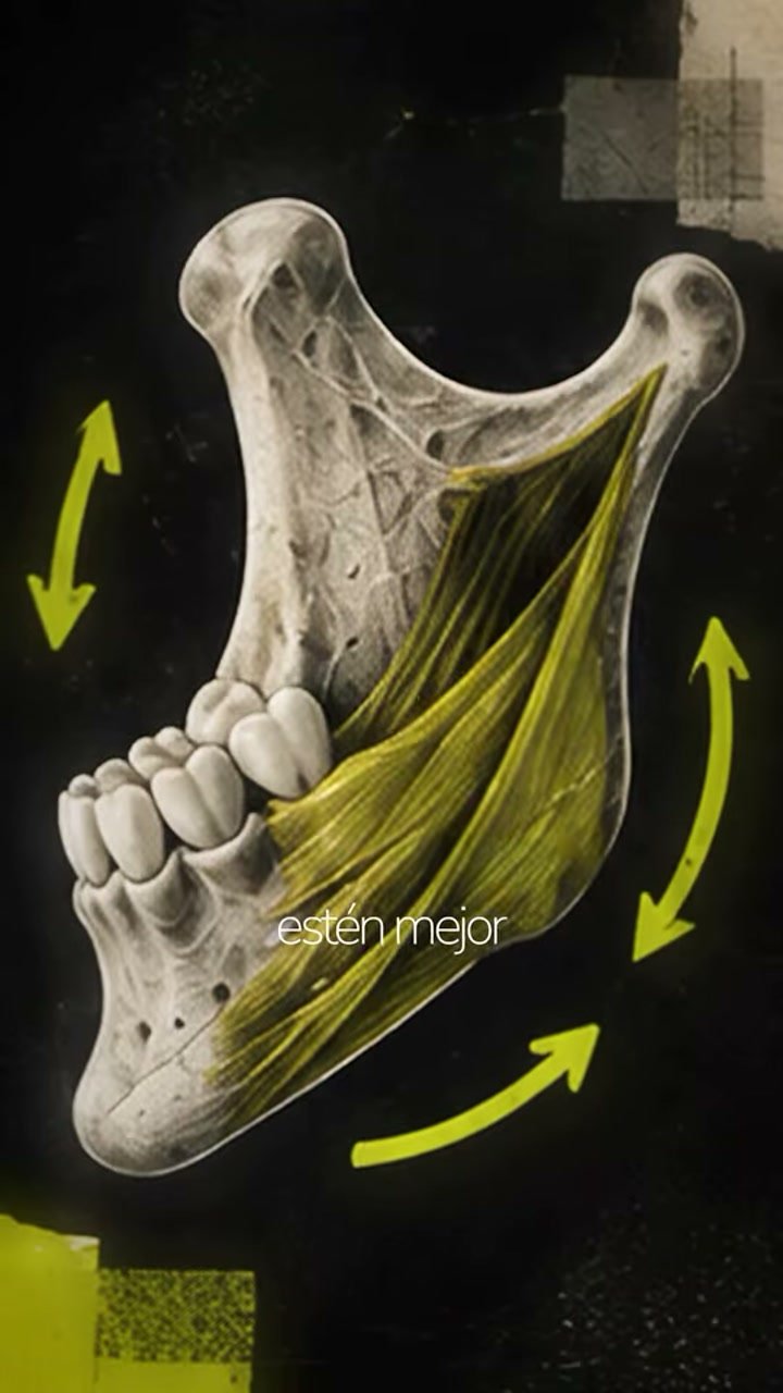 Composición y montaje